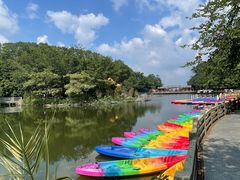 -广州市帽峰山景区
