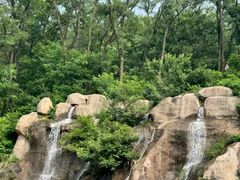 -鲁山国家森林公园