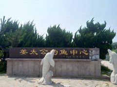 -日照海滨国家森林公园