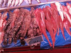 -新隆嘉 供销超市(修竹商场店)