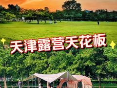 -泰丰公园