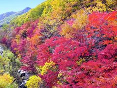 -丹东天桥沟景区