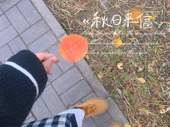 -百里山水画廊