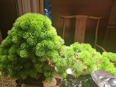 -全聚德烤鸭店(马家堡店)