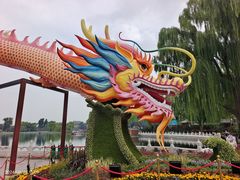 -同和居(什刹海店)