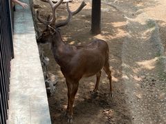 -石家庄市动物园