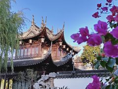 -豫园