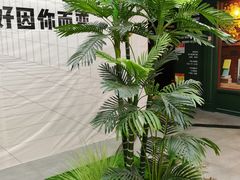 -凯德MALL(望京店)