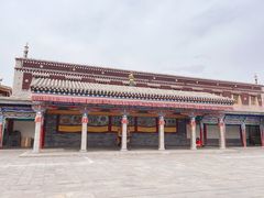 -塔尔寺菩提树