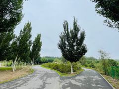 -东郊湿地公园
