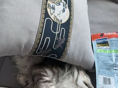 -美联众合24小时·皮肤科·外科·全科诊疗中心(华苑分院)
