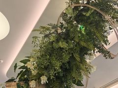 -Aqua Oasis 水天堂(太湖中心mall店)