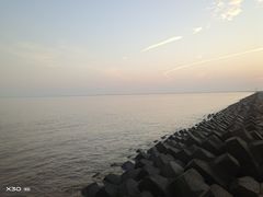 -南汇新城海滩