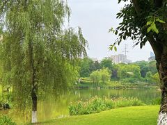 -沐仙湖湿地公园