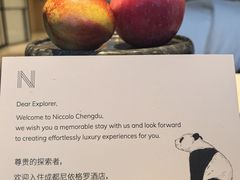-成都尼依格罗酒店