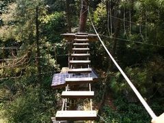 -梦幻奥陶纪景区