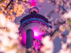 -东方明珠广播电视塔
