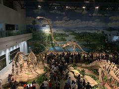 -自贡恐龙博物馆