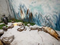 -西霞口神雕山野生动物世界