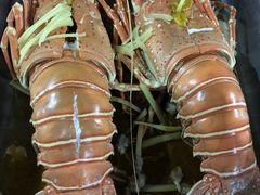 -卡帕莱度假村(西巴丹岛)