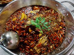 -味之绝热血美蛙鱼火锅(中坝店)