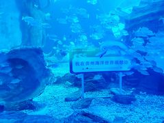 -多彩贵州城极地海洋世界