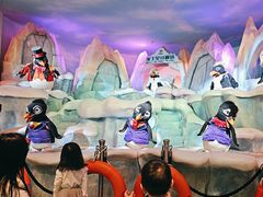 -帝企鹅自助餐厅•儿童岛•真企鹅(长隆企鹅酒店)