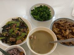 -田螺阿姨自营月嫂·育儿嫂(高新店)