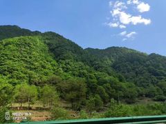 -关山草原