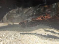 -苏州海洋馆