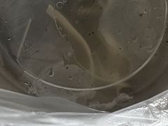 -上海生煎(南门小街店)