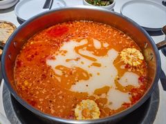 -濠七糟粕醋•海南酸汤火锅(中关村店)