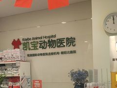 -悦宠凯宝动物医院·牙科·皮肤科(朝阳北路店)