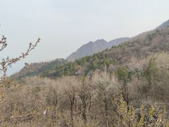-阳台山自然风景区