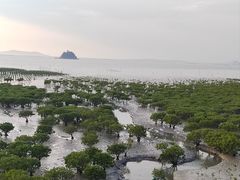 -湄洲岛