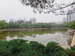 -团结湖公园