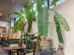 -单家老院·院子里的青岛菜(沙子口店)
