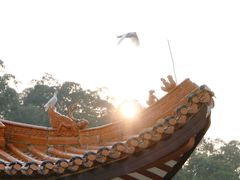 -顺峰山公园
