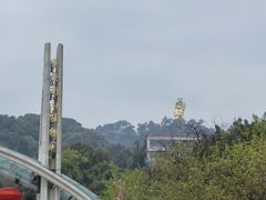 -南山植物园