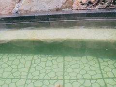 -融汇温泉