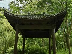 -南京老山国家森林公园