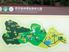 -西双版纳原始森林公园