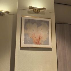 -娇莉芙美颜SPA连锁