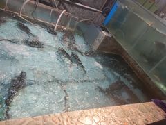 -鱼窝棚柴火铁锅炖(富山屯店)