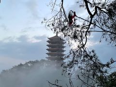 -缙云山景区