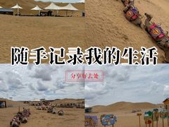 -银肯塔拉沙漠生态旅游景区