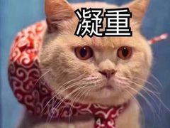 -王家渡火锅(金宝汇店)