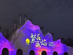 -花博汇(知音花月夜)