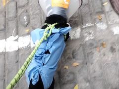 -美联众合动物医院·24h转诊中心