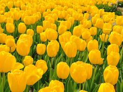 -玄武湖景区-情侣园游乐场